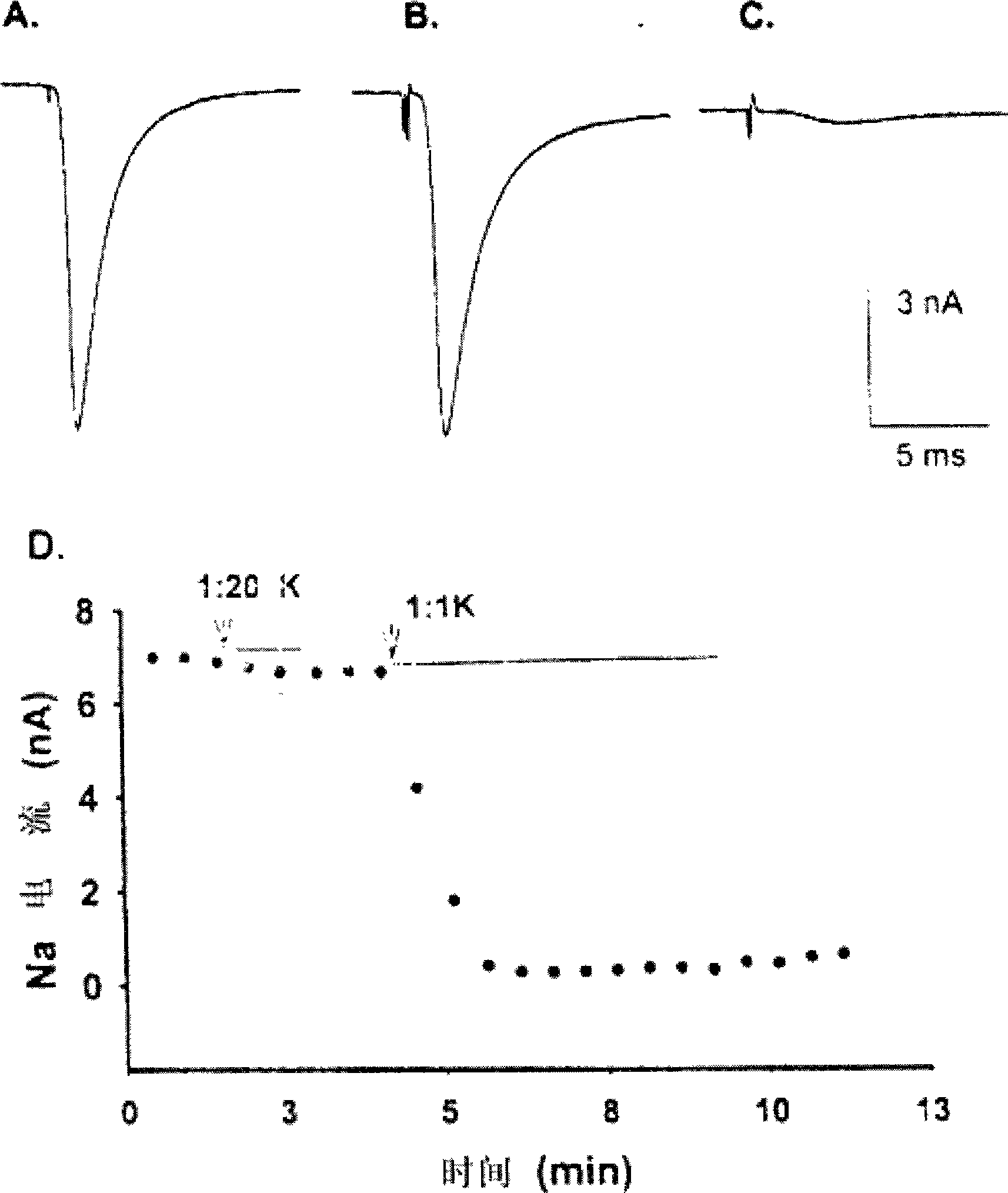 Spikenard volatile oil and use of composition containing spikenard volatile oil in pharmacy