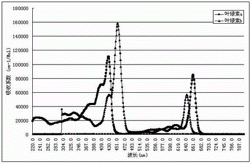 A method for optimal utilization of solar energy in cooperation with photovoltaic power generation and plant cultivation