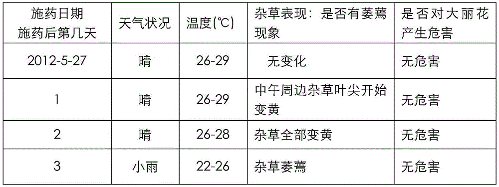 Method for controlling weeds in dahlia pinnata cav. growth area