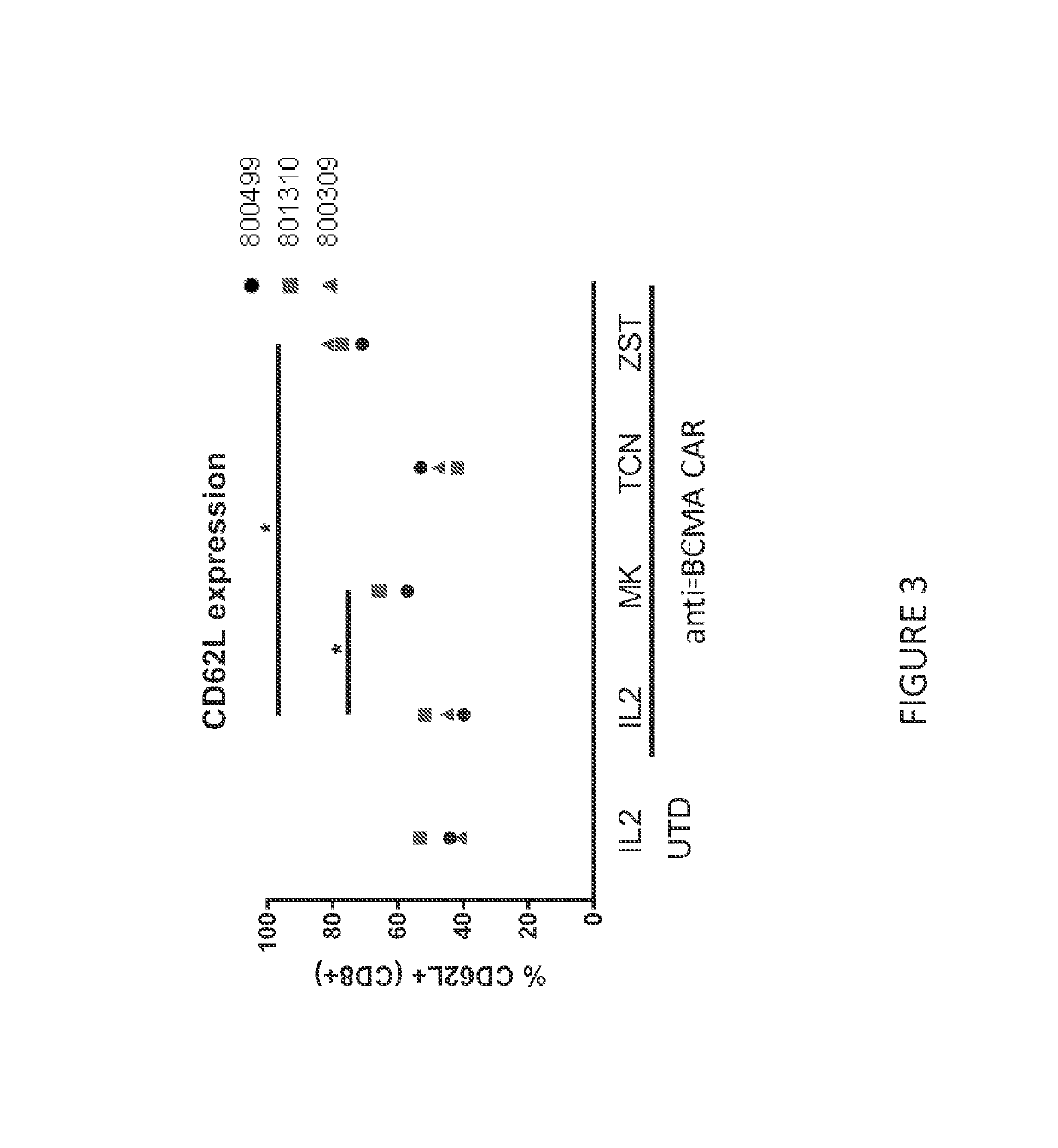 Methods of making T cell compositions