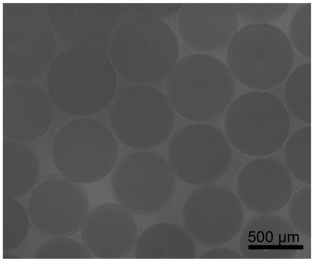 Embolism microsphere, preparation method thereof and drug-loaded embolism microsphere