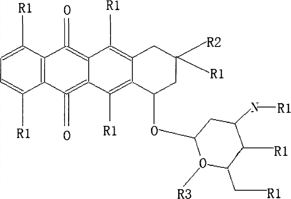 Use of anthracycline antibiotics in preparation of medicines for treating age-related macular degeneration