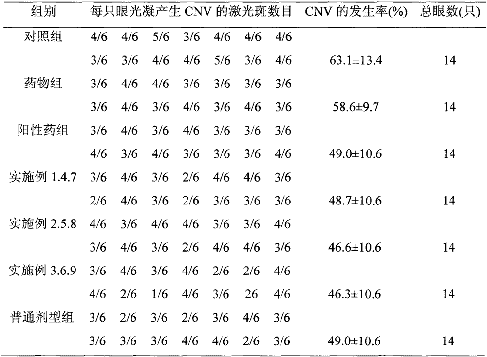 Use of anthracycline antibiotics in preparation of medicines for treating age-related macular degeneration