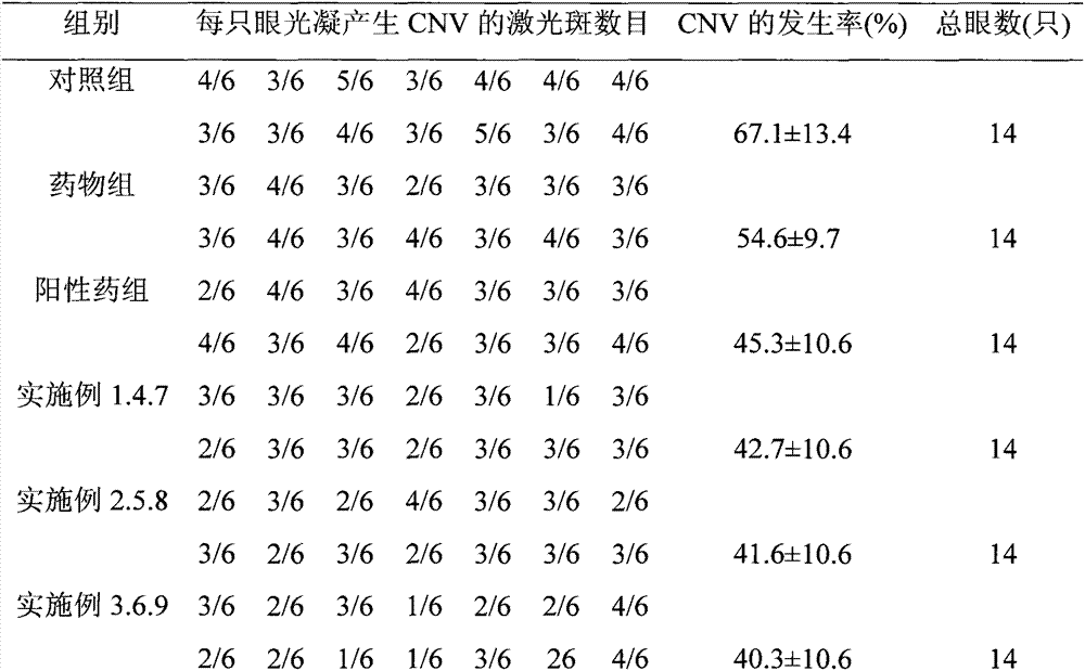 Use of anthracycline antibiotics in preparation of medicines for treating age-related macular degeneration