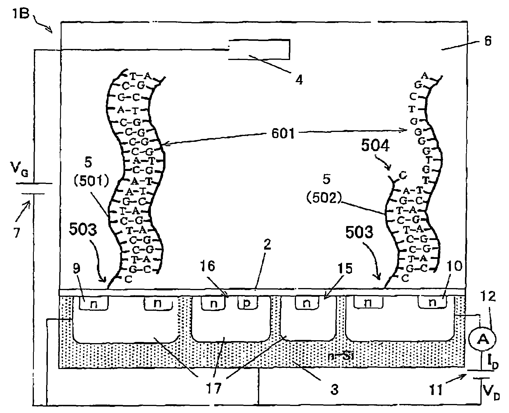 Gene Detection Field-Effect Device And Method Of Analyzing Gene Polymorphism Therewith