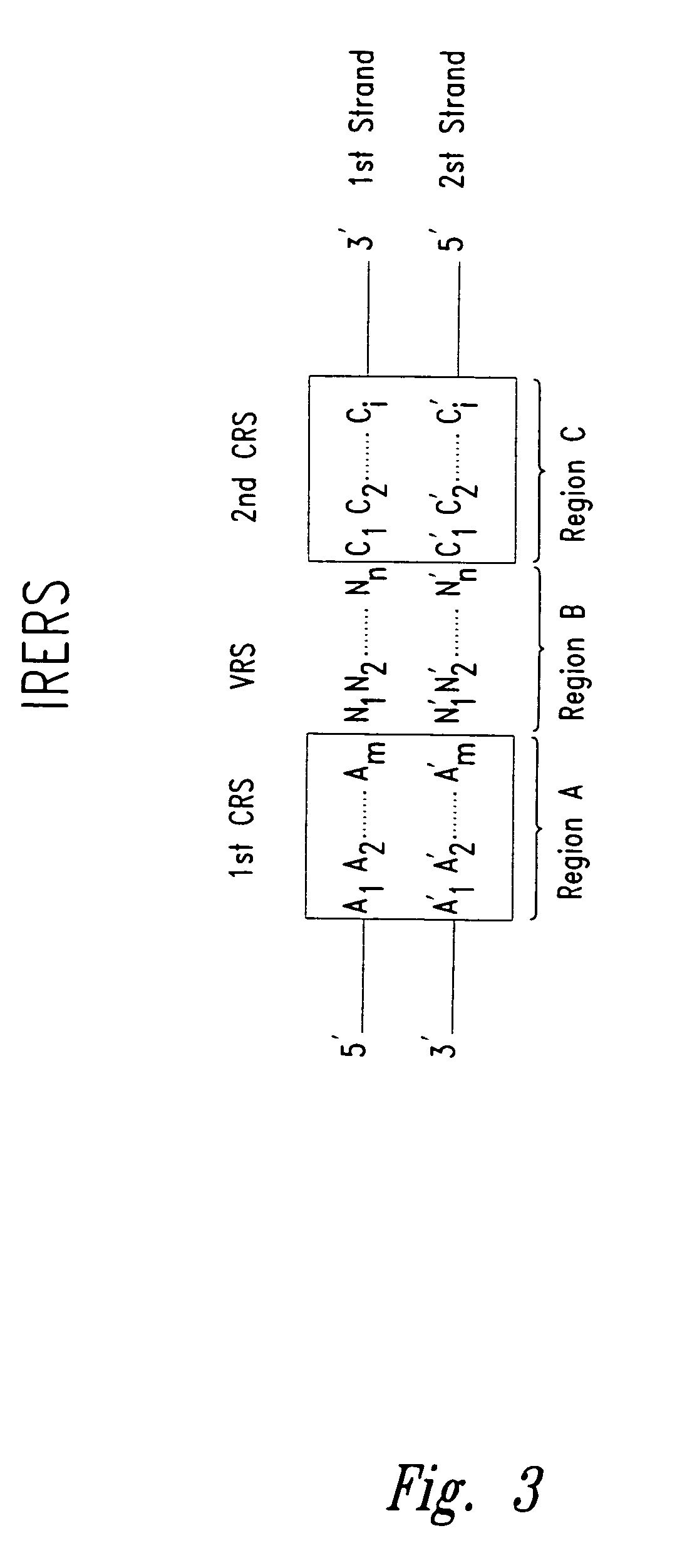 Methods for identifying nucleotides at defined positions in target nucleic acids