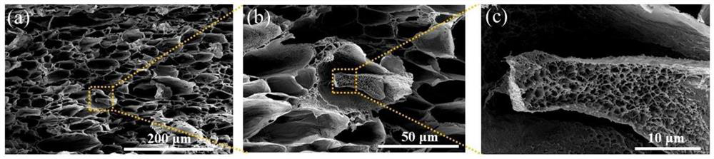 A polymer membrane with hierarchical porous structure and its preparation method and application