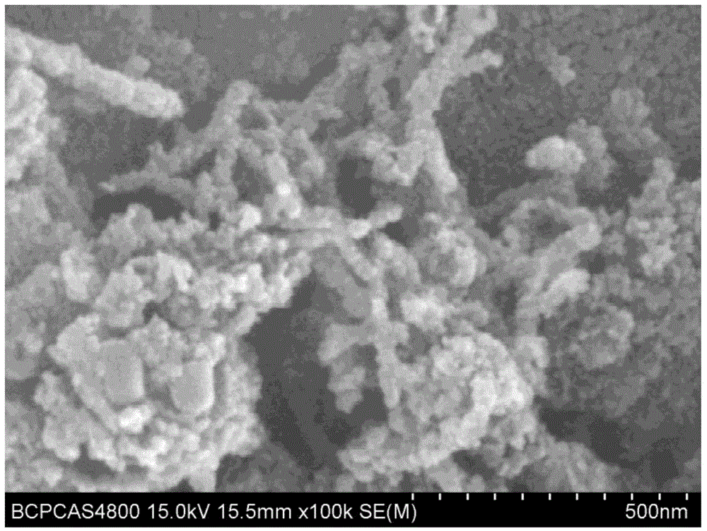 Nitrogen and phosphorus co-doped porous carbon catalyst and preparation method thereof