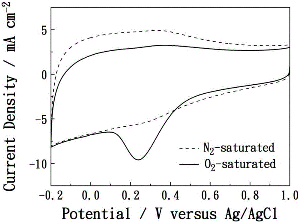 Nitrogen and phosphorus co-doped porous carbon catalyst and preparation method thereof