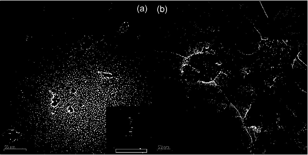 Preparation method for nano-selenium