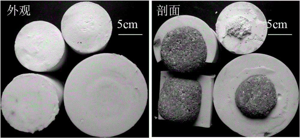 Core-shell structured water purification bacterium capsule and preparation method thereof