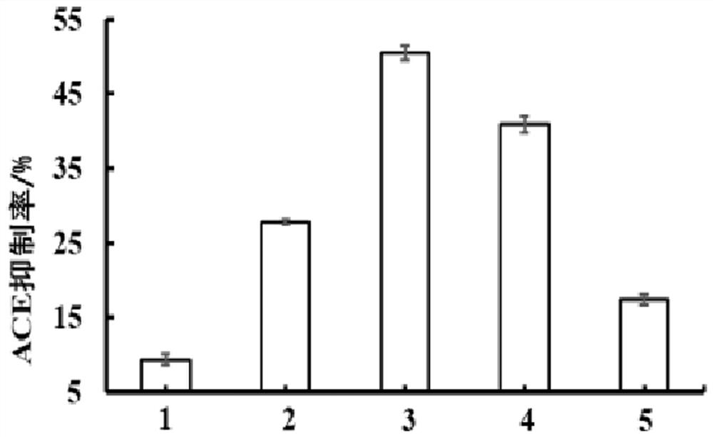 Method for extracting ACE (Angiotensin Converting Enzyme) inhibitory peptide from urechis unicinctus and application