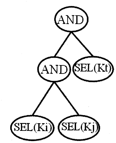 Connection sequence inquiry optimizing method based on column-storage model