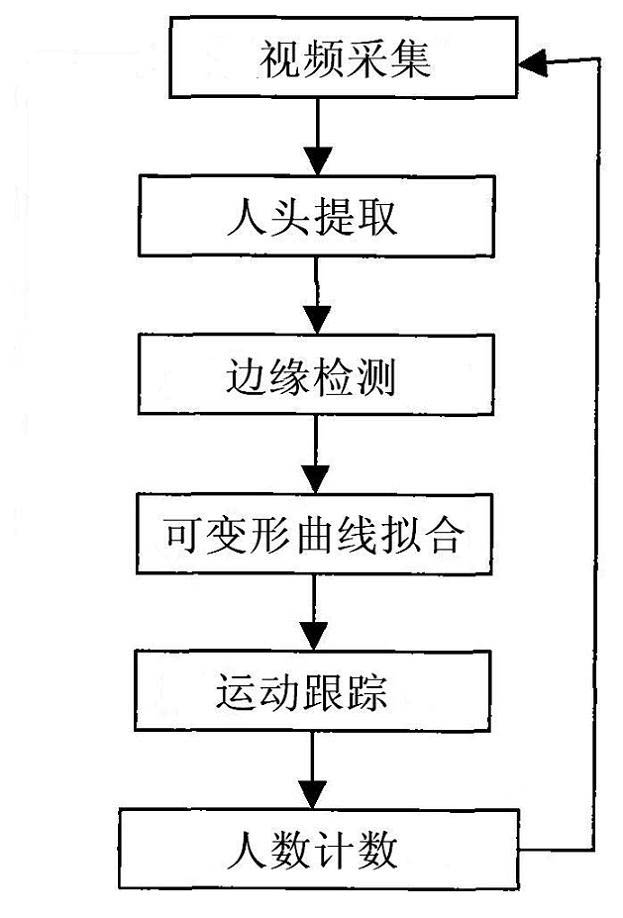 Method and system for detecting pedestrian flow by adopting deformable two-dimensional curves