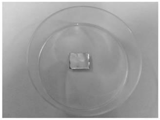 Method for cleanly transferring single layer graphene by using PMMA