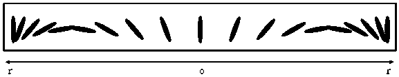 Vision correcting device for presbyopia