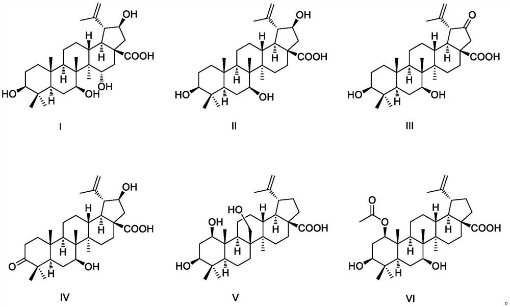 Application of betulinic acid derivative in preparation of antitumor drugs