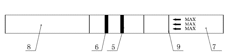 Constant-temperature amplification method of double-labeled nucleic acid and detection test strip