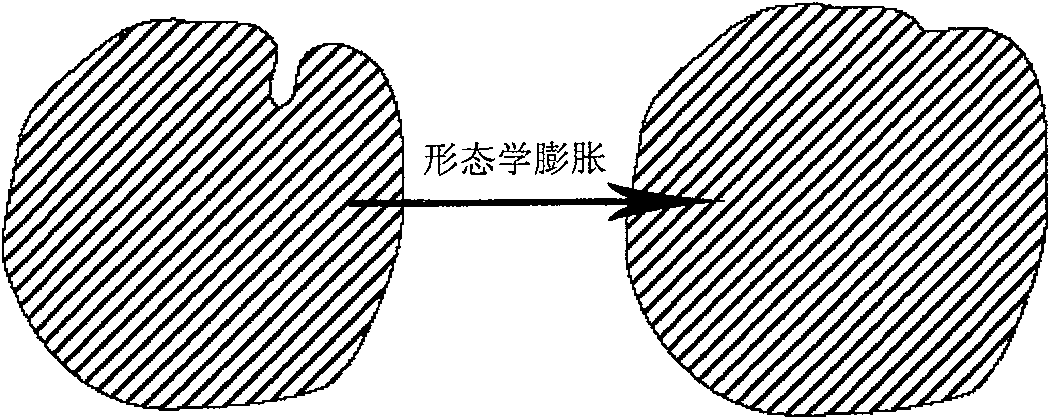 Fast volume rendering method of inwall of cavum-type viscera