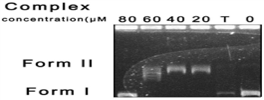 11,12-Dimethylbenzimidazole-1,8-naphthalimide-platinum complex and its preparation method and application