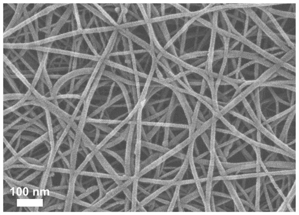 Single-walled carbon nanotube transparent electrothermal film and preparation method thereof