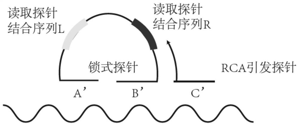 High-density signal decomposition sparse interpretation method applied to space omics and application of high-density signal decomposition sparse interpretation method