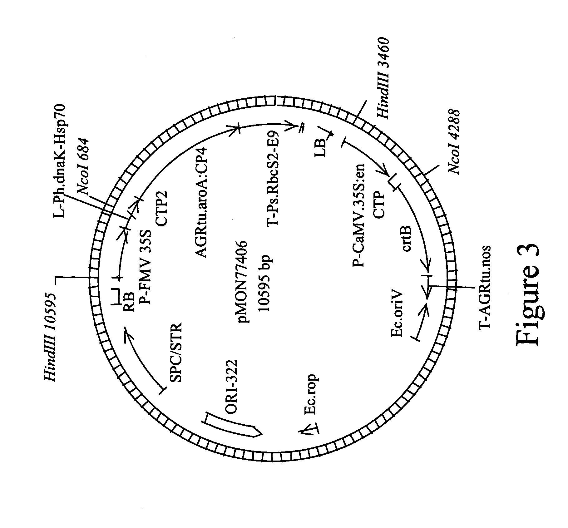 DNA constructs and methods to enhance the production of commercially viable transgenic plants