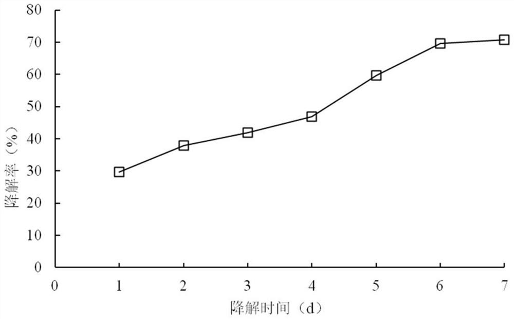 A strain of Providencia stutzeri jd and its application