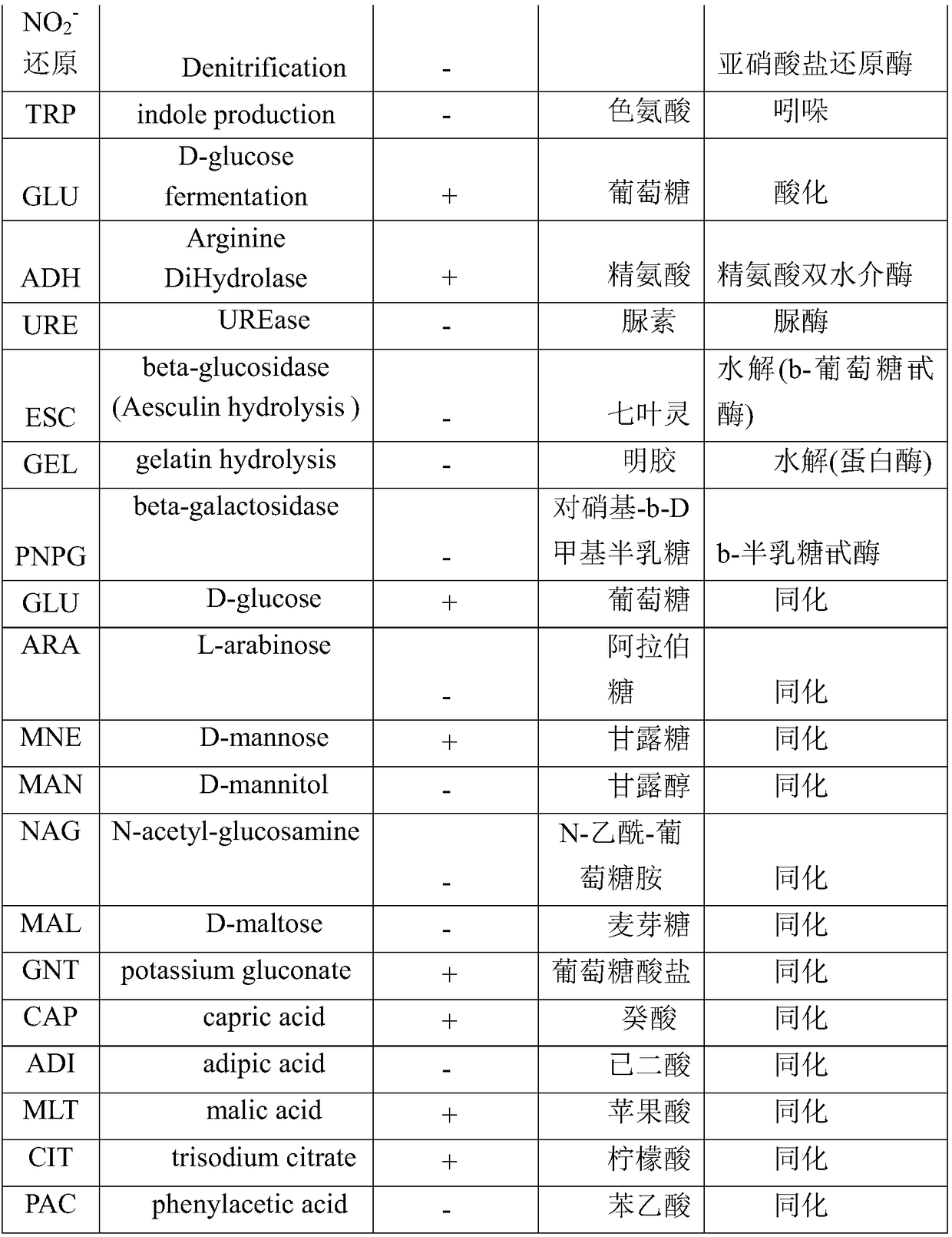 Aerobic denitrification strain and application thereof