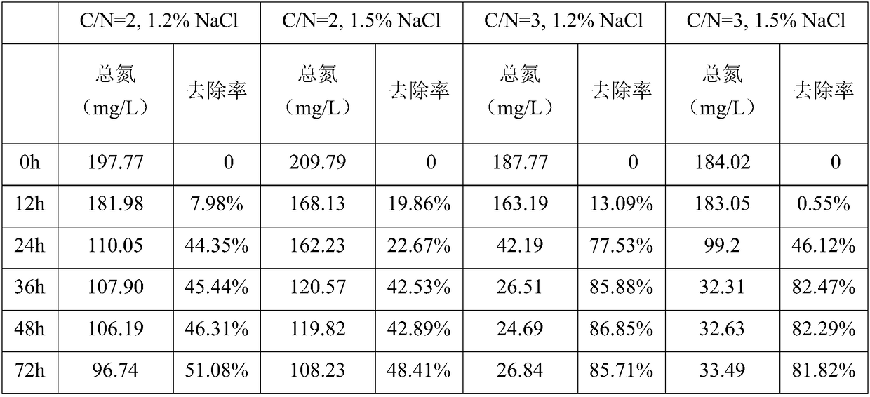 Aerobic denitrification strain and application thereof