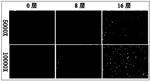 Screw capable of absorbing compound interface and manufacturing method of screw