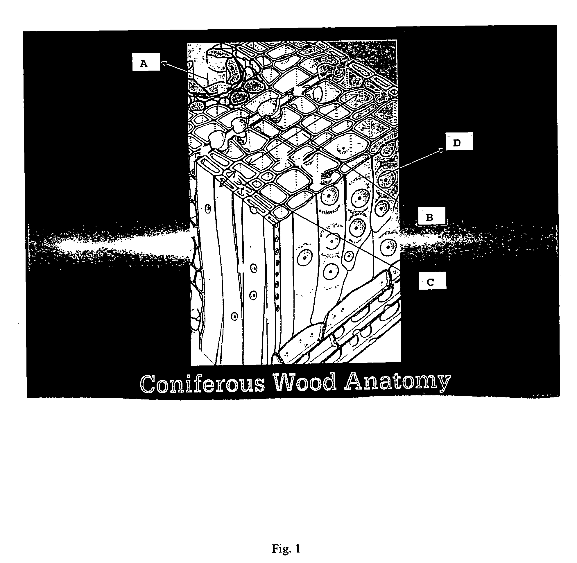 Micronized organic preservative formulations