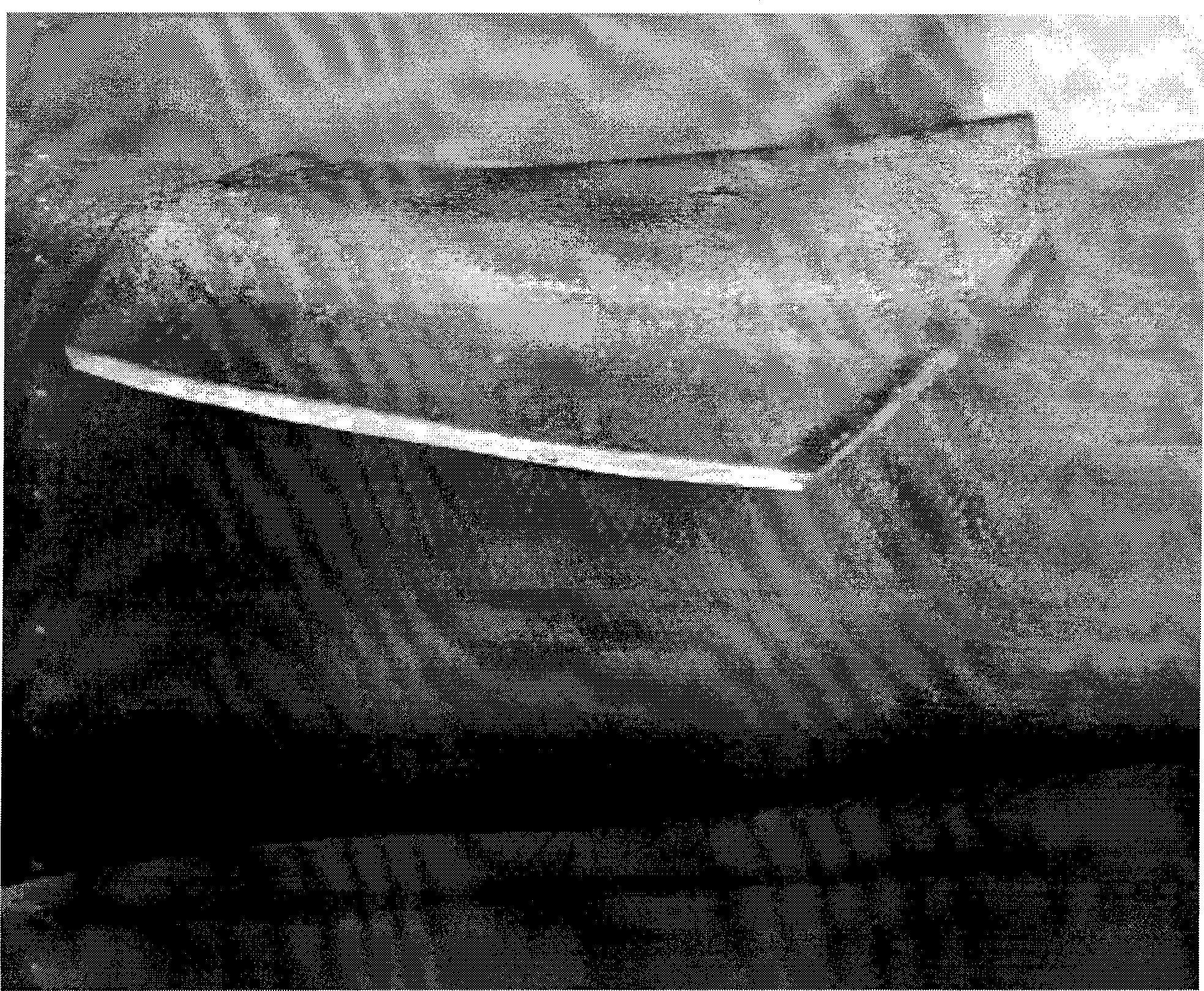 Medical chitosan transparent hydrogel wound dressing as well as preparation and application thereof