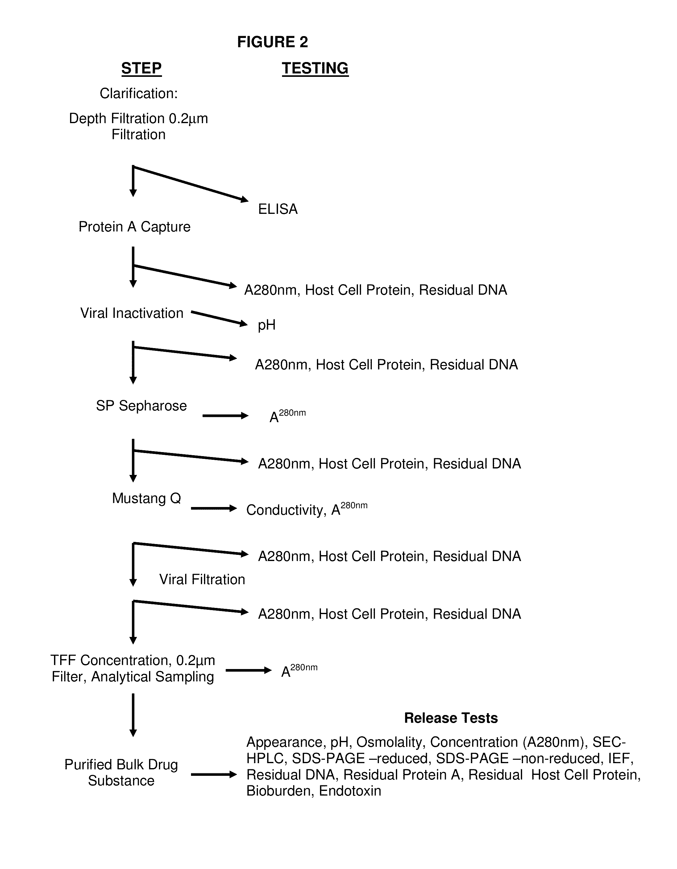 Methods of use of soluble cd24 for therapy of rheumatoid arthritis