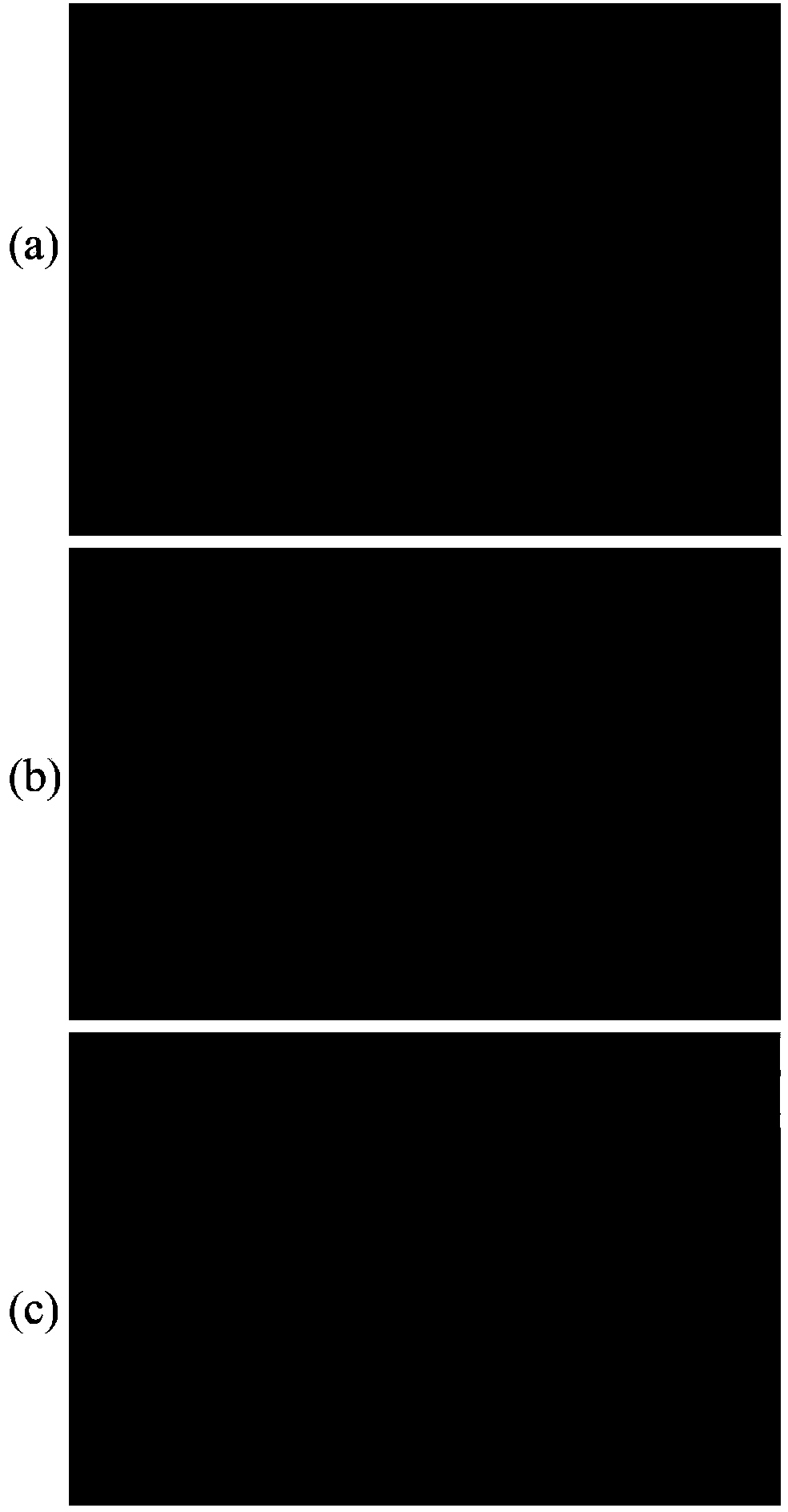 Single-image rapid defogging method and device and image processing system