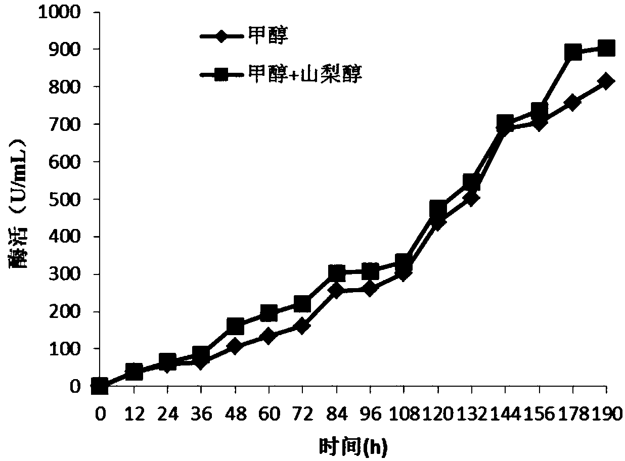 High density fermentation method of glucose oxidase in pichia pastoris