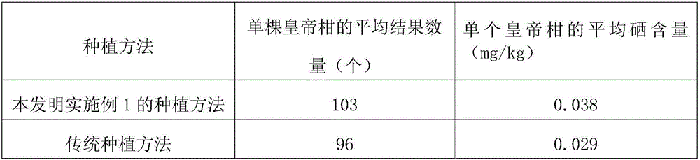 High-yield planting method of selenium-enriched citrus Gonggan