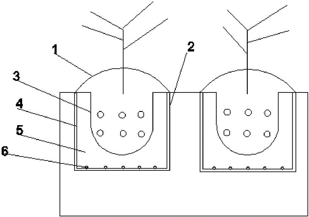 High-yield planting method of selenium-enriched citrus Gonggan