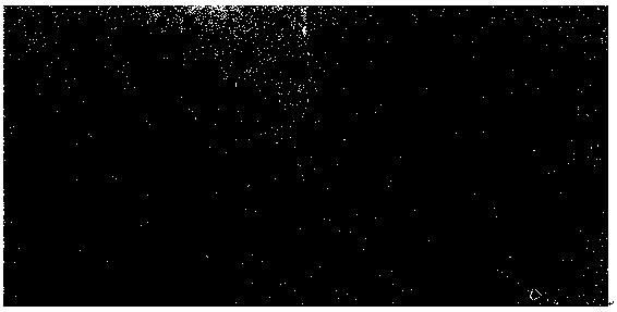 High-dispersion graphene heat-conduction water-based paint and preparation method thereof