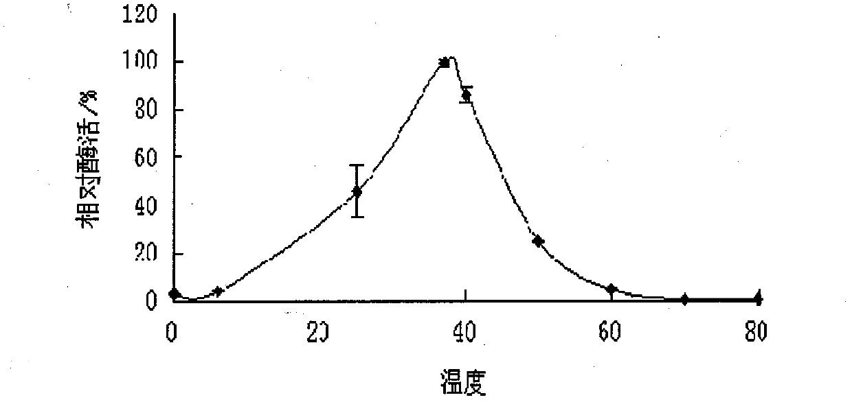 Turkey leg pickling air-drying mature protein hydrolysis process regulation and control method