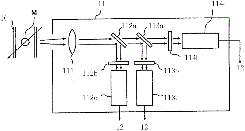 Fluorescence detection system and cell analyzer