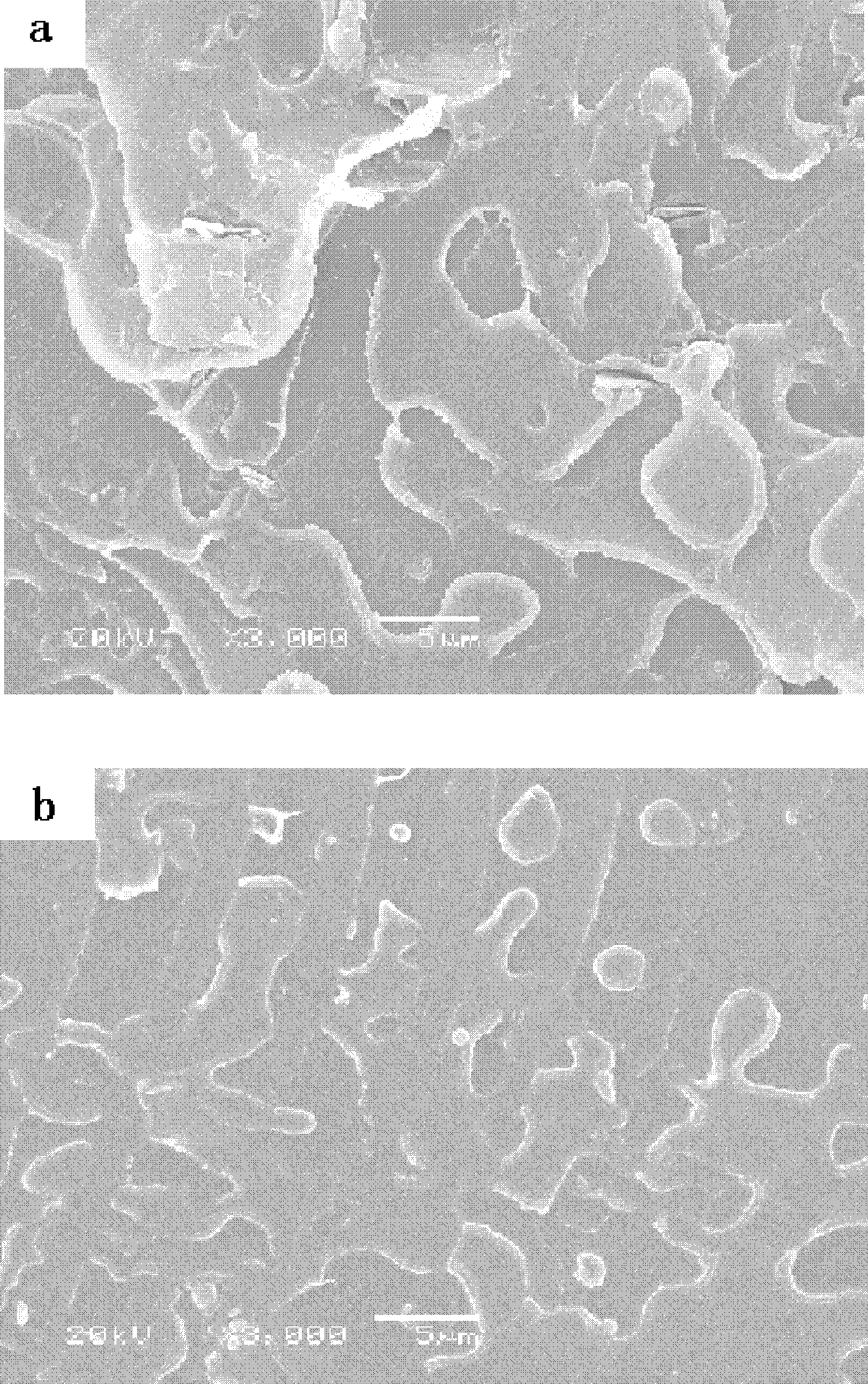 Poly(aryl ether nitrile) composite material and its preparation method