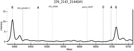 Method and kit for detecting Helicobacter pylori drug resistance gene mutations