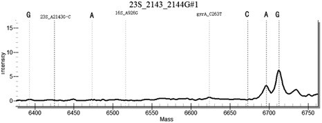 Method and kit for detecting Helicobacter pylori drug resistance gene mutations