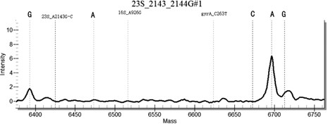 Method and kit for detecting Helicobacter pylori drug resistance gene mutations