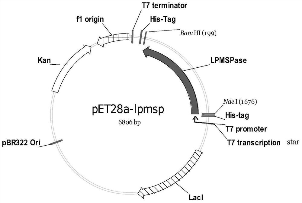 Application of a glycerol-2-α-glucosylase in the preparation of 2-α-glycerol glucoside