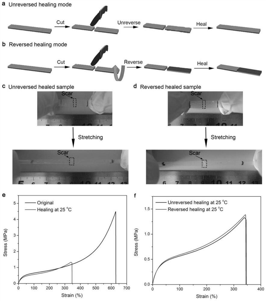 Reconfigurable driver based on self-healing elastomer and preparation method of reconfigurable driver