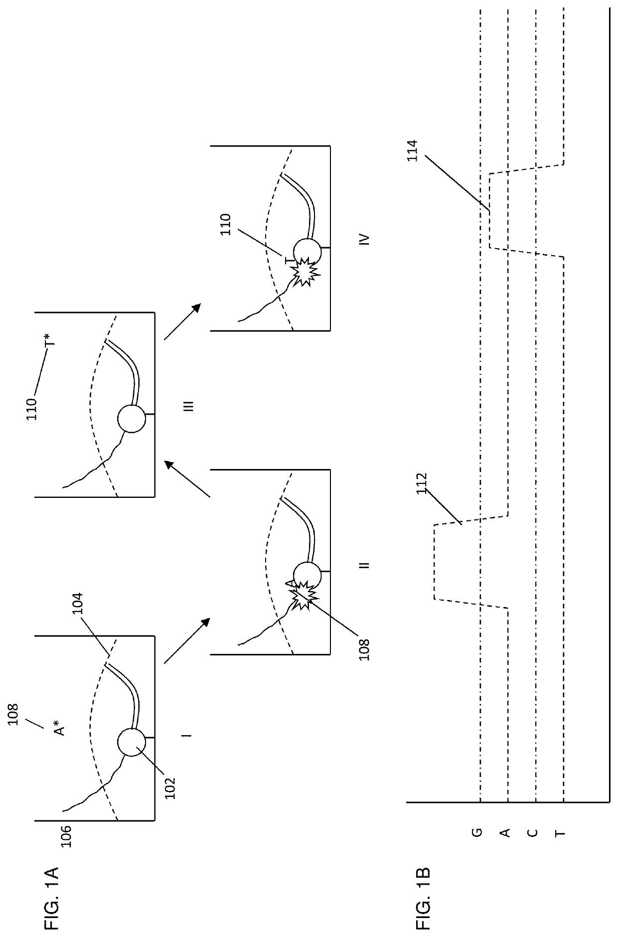 Protected dye-labeled reagents