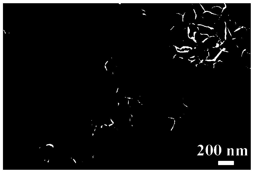 Iron disulfide doped Mo2S3 porous system as well as preparation method and application thereof