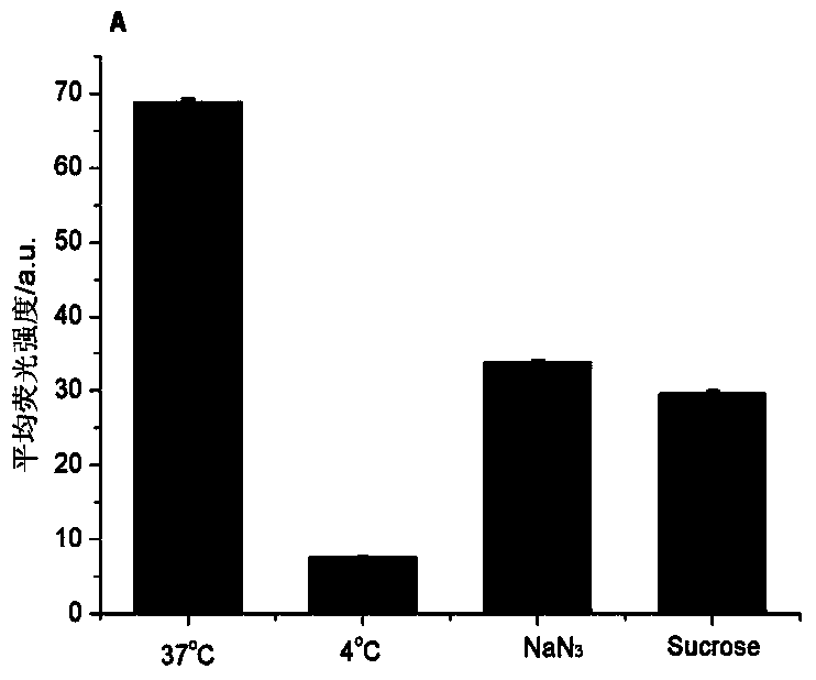 Preparation method and application of nano diamond targeted medicine